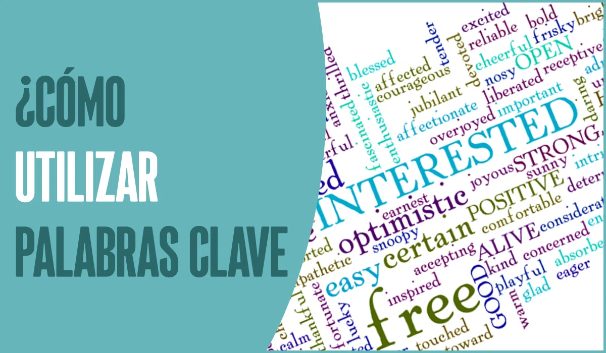 Qué son las Palabras Clave y cómo utilizarlas - SEO para Novatos